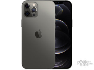 ƻ iPhone 12 Pro Max(256GB/5G)