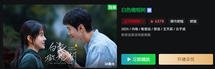 电视剧《白色橄榄树》