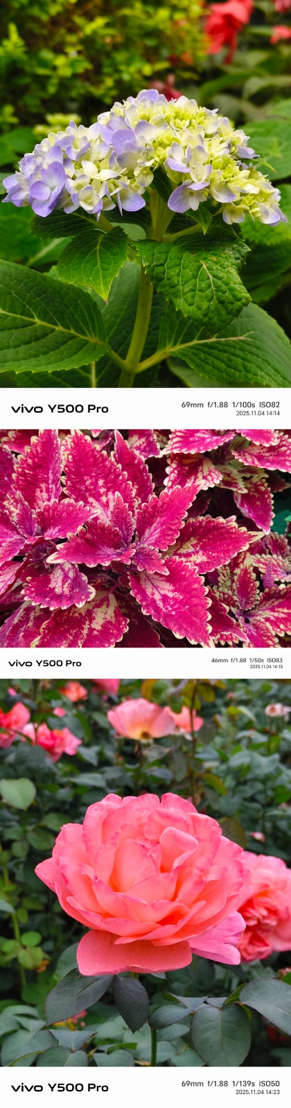 国民小旗舰vivo Y500 Pro评测|两亿影像+OriginOS 6