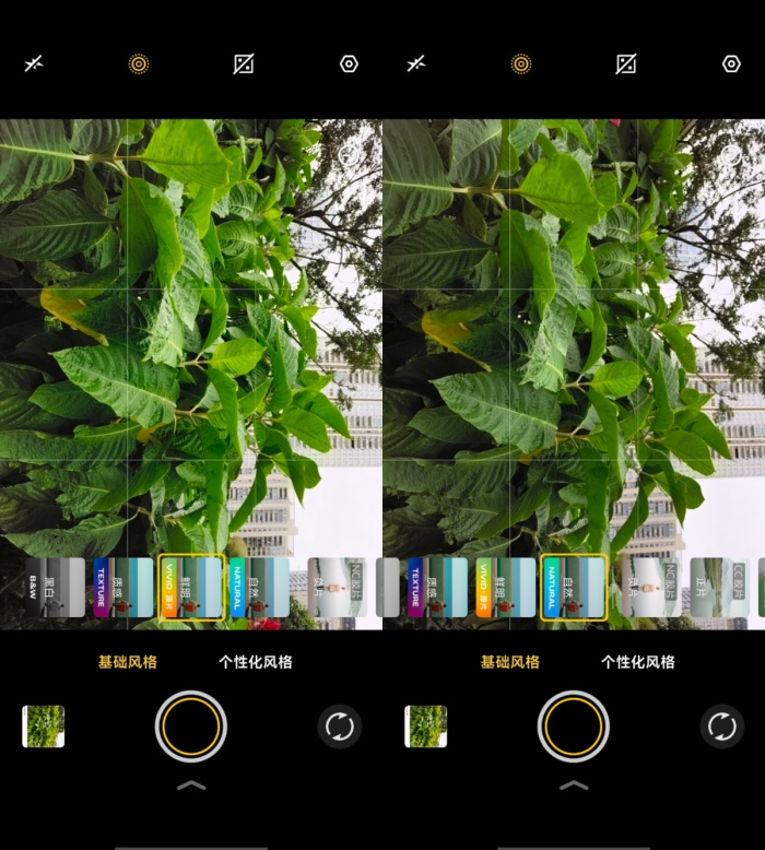 国民小旗舰vivo Y500 Pro评测|两亿影像+OriginOS 6