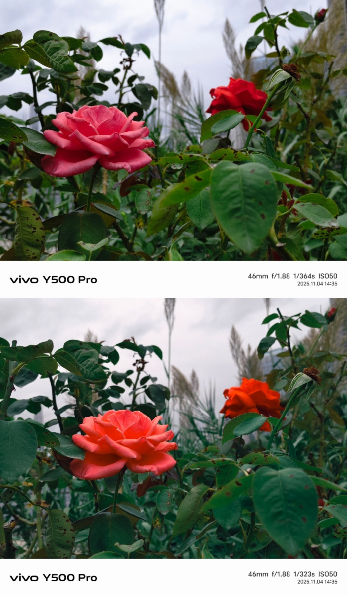 国民小旗舰vivo Y500 Pro评测|两亿影像+OriginOS 6