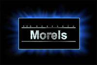 Morels  SOG nfc168