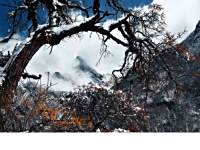 ѩ���ɾ�-�Ĺ���ɽ