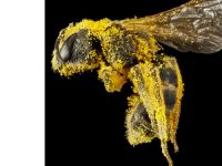 ������������΢����Ӱ