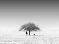 Charles Hu�����ͷ��Ӱ