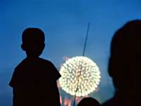 ��ͼ����Ψ����ʧ�����