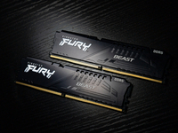 Kingston FURY Beast DDR5 ڴ