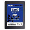 T300(500GB)