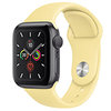 苹果Watch Series 5(GPS/铝金属表壳/运动表带/40mm)