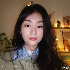 ⣺״˫vivo S16 ProֻǳƷ
