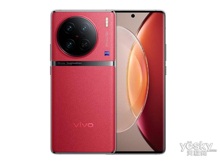 vivo X90 Pro(12GB/256GB/ȫͨ/5G)