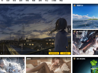 Ԫ���������������̬��ֽ��_Ԫ������������̬��ֽ�̳�