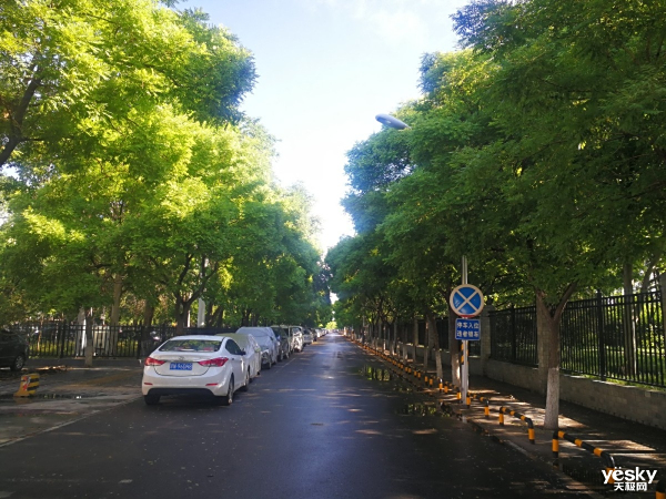 ��������Բ���ܲ�֮·����Ч��΢������Ъ˹����ļ�֣�