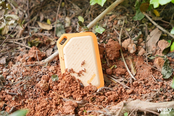 άPR2000̽ռƶ̬Ӳ⣺㻧ӰĶԪ