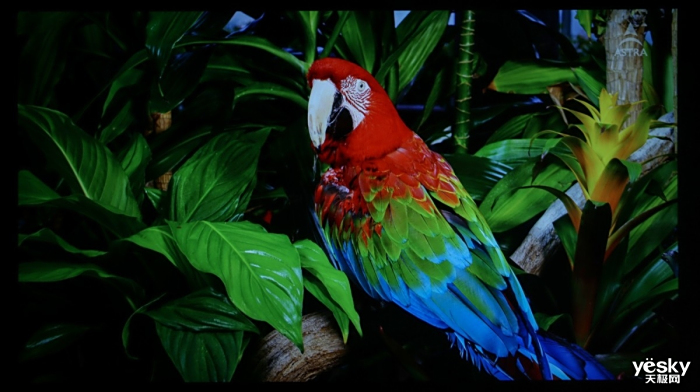 ǧԪ������ͶӰ�콢 �ῪP9��������ͶӰ������