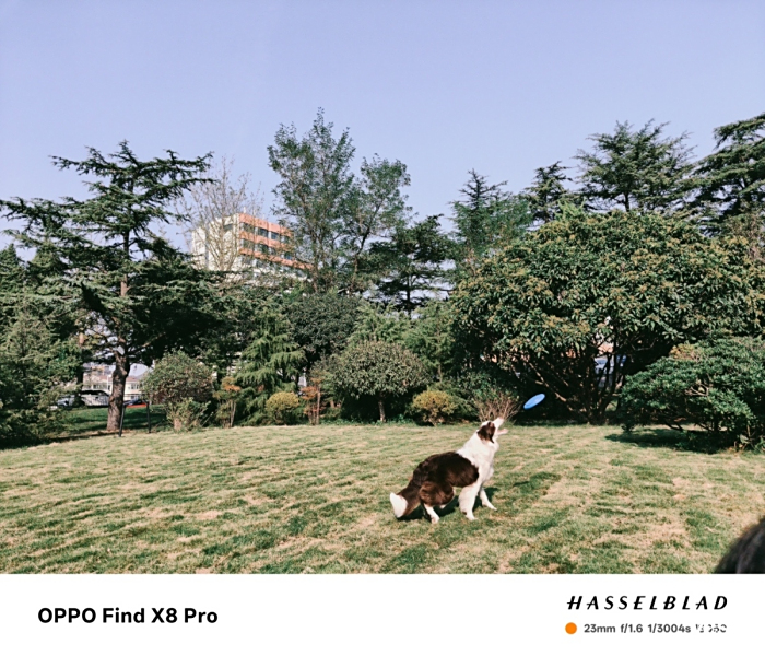 OPPO Find X8 ProΪʲôֵ֣Χץ+ϫX9400