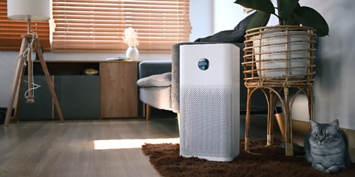 ����ɱ����ζ����Ч��2025����ֵ��������������������