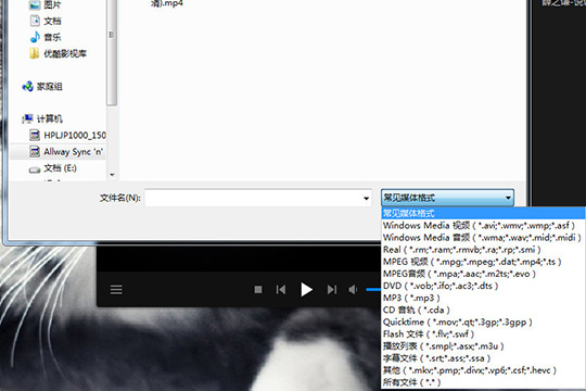 ���·���ý���ʽ��ѡ���Լ���Ҫ�򿪵��ļ���ʽ