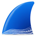 Wireshark Portablev4.2.5ٷʽ
